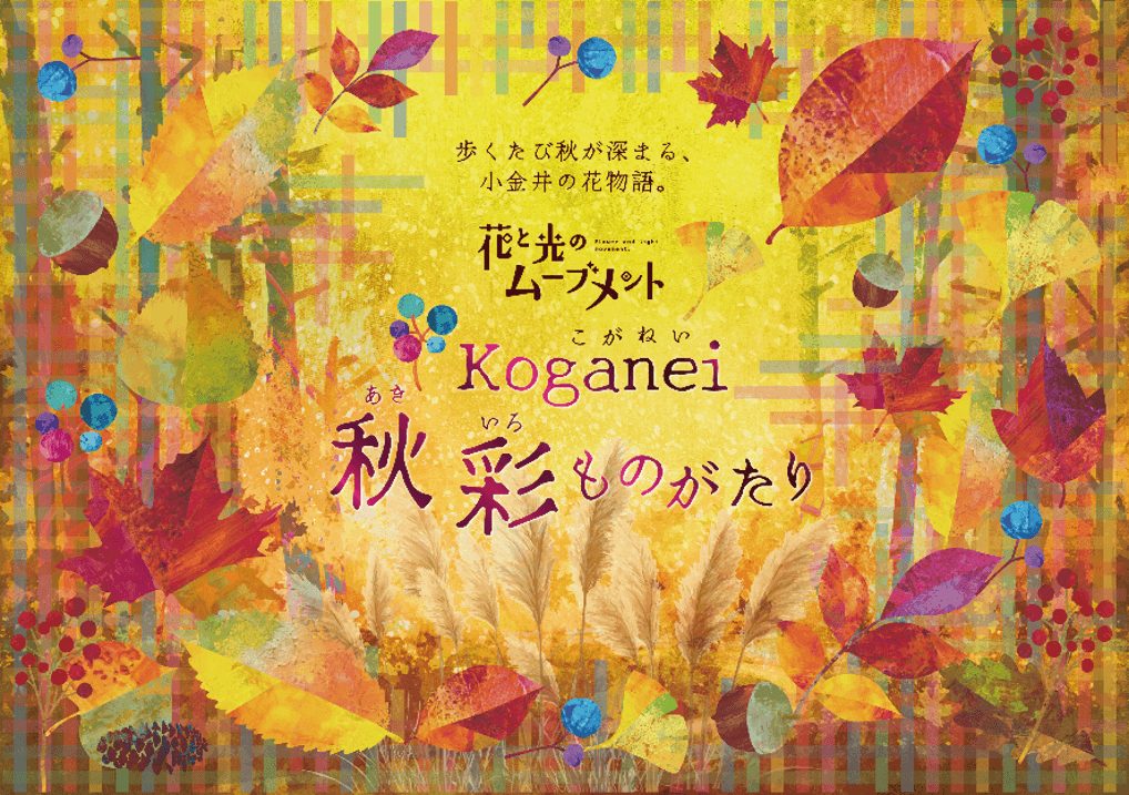 小金井公園で秋の花と光を楽しむ催しが10月23日から開催