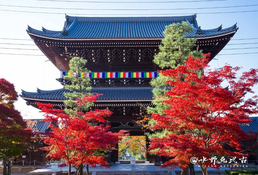 金戒光明寺の秋の特別拝観2026｜期間・料金・見どころ