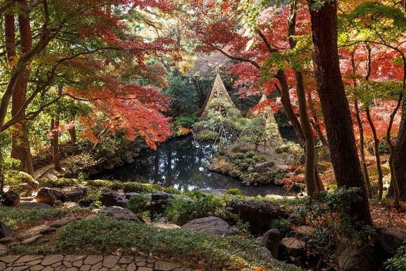 殿ヶ谷戸庭園で秋の催し2026、紅葉と紙切り・音楽を満喫