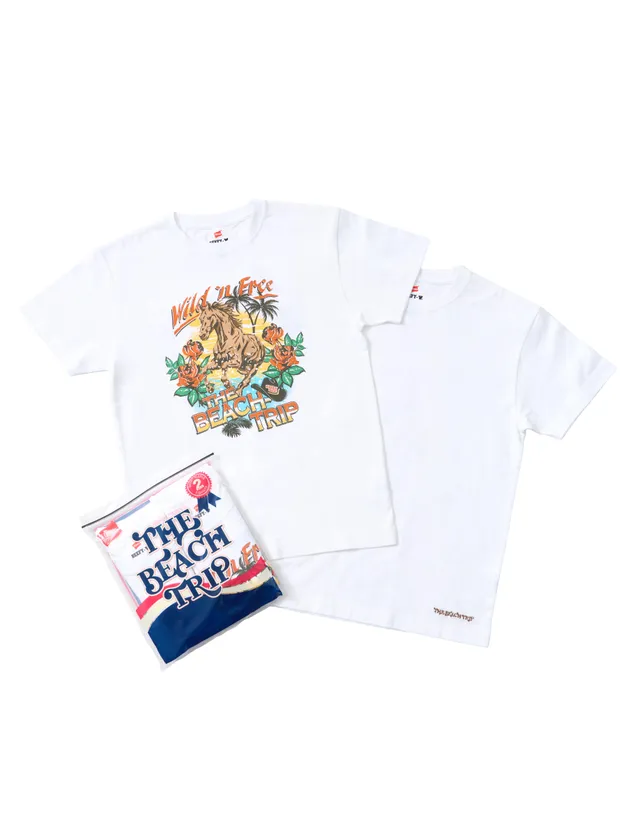 Hanesと平井大が初コラボ、BEEFY-Tの特別な2枚組が登場 画像2