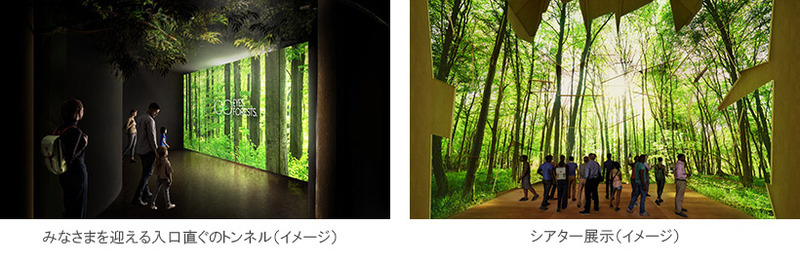 森をどう見る？住友林業館「ひゃくの森」の展示イメージと体験内容が公開 画像2