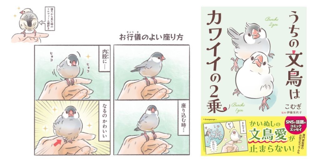 文鳥好きの共感を呼ぶ4コマ『うちの文鳥はカワイイの2乗』発売