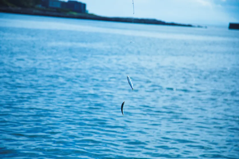 bZ4X Touring最新情報｜宮沢氷魚の三崎旅はいつ公開？ 画像2